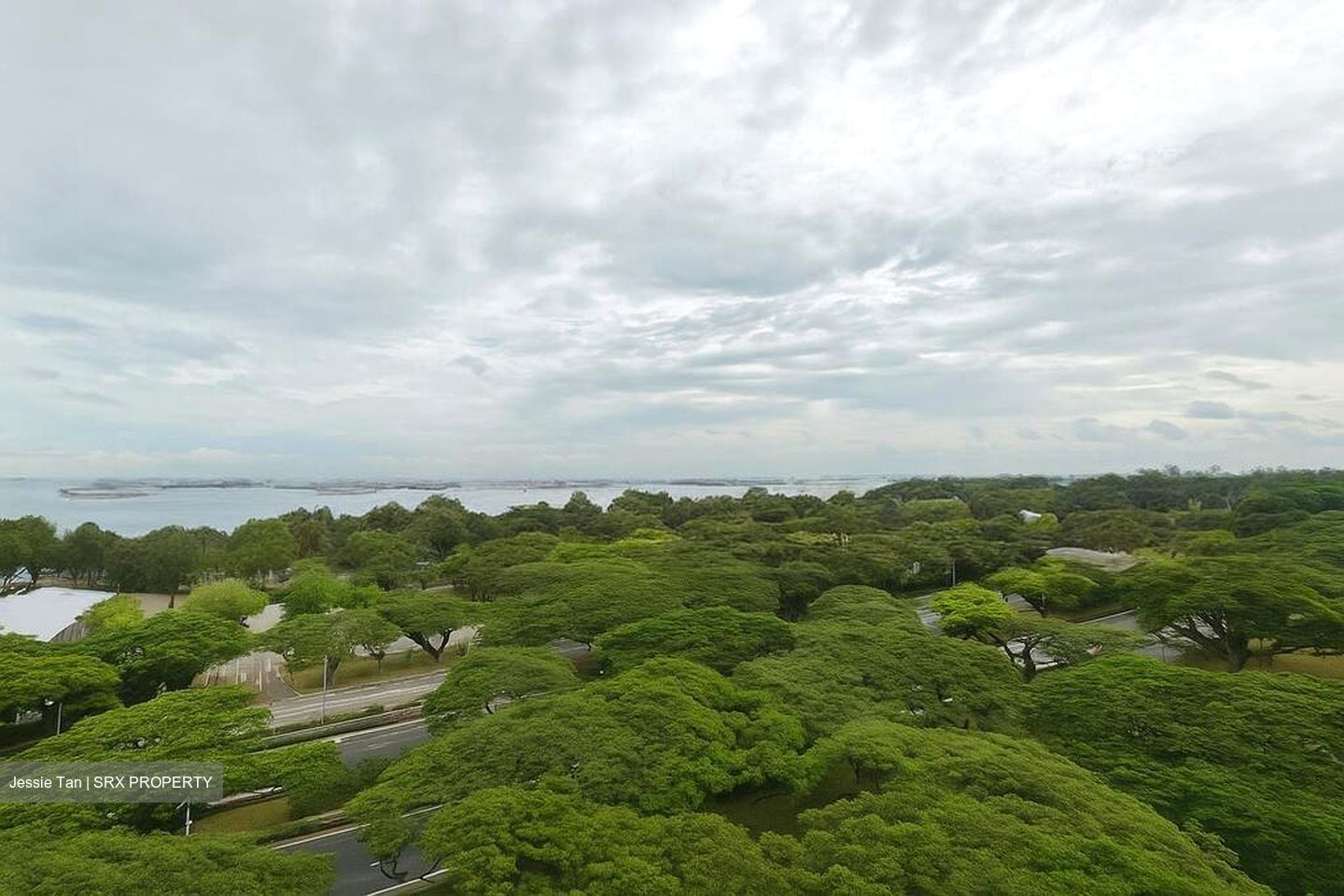 Blk 33 Marine Crescent Ville (Marine Parade), HDB 3 Rooms #495806201